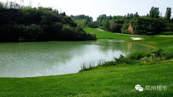 踏青郊游:航拍下的果岭山水黄河湿地风景区(附视频,攻略)
