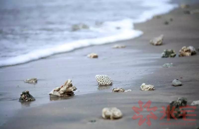 海南實景圖