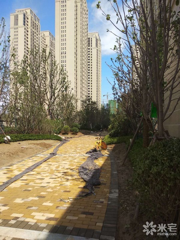 錦藝金水灣