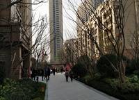 碧桂园天悦