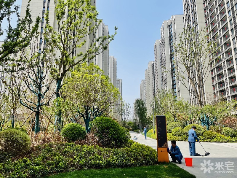 康橋山海云圖