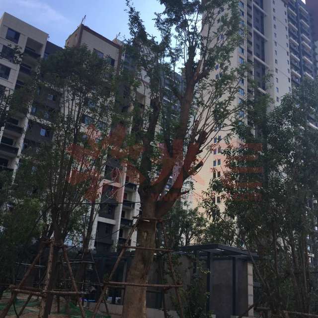 保利永威西溪花园