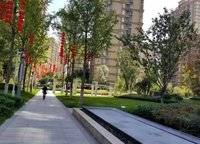雅居乐国际花园