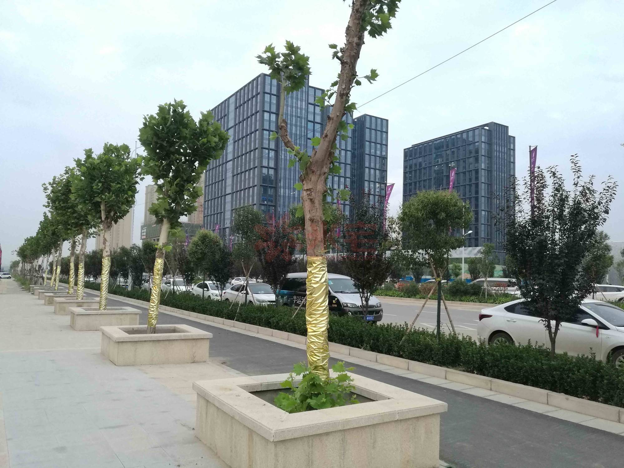 盛润运河城点评 , 郑州盛润运河城点评-米宅郑州站