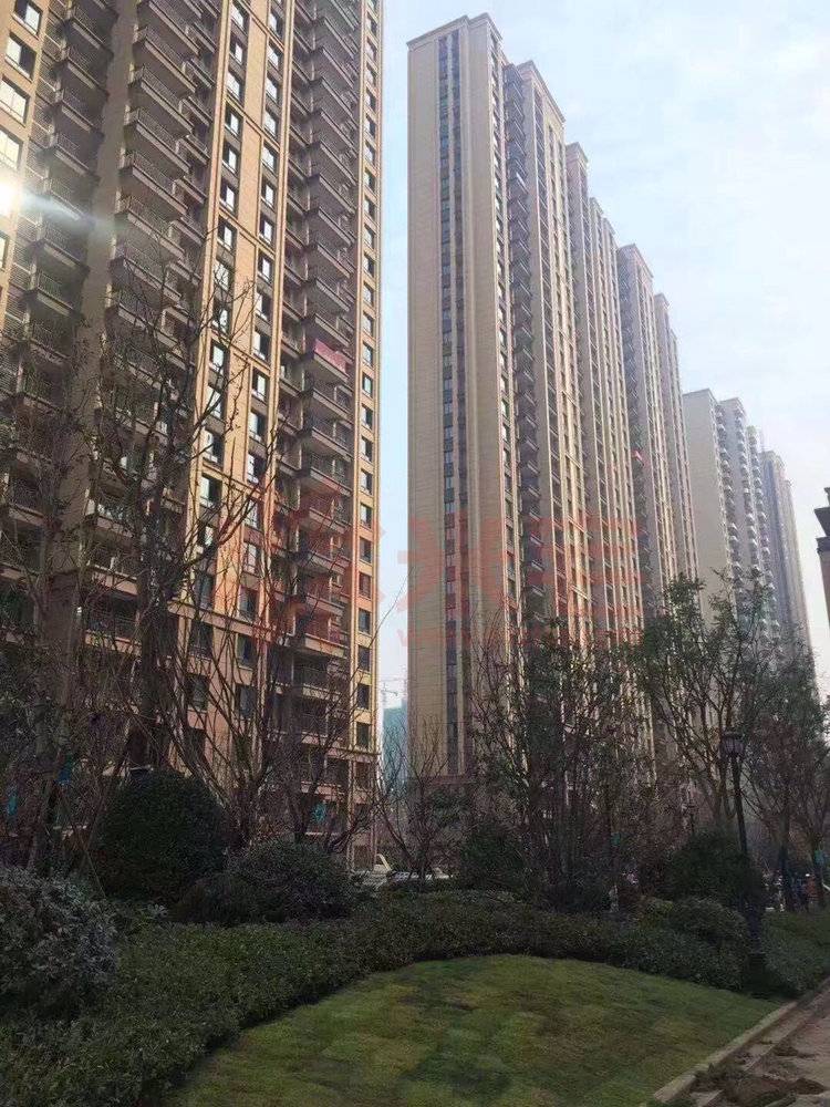 金科城