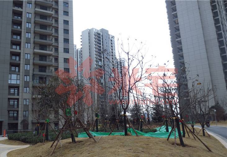 方圆经纬相册, 郑州方圆经纬小区图片-米宅郑州站