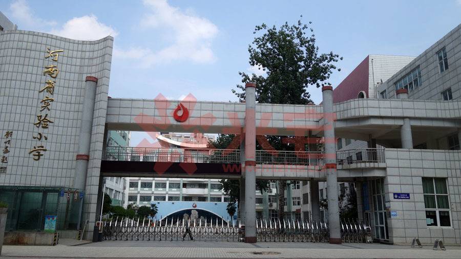 河南省实验小学