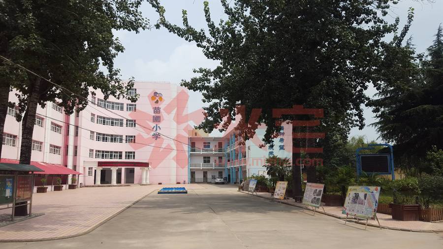 二七区苗圃小学图片